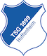 logo hoffenheim